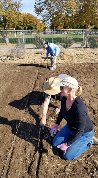 Planting NGAC plot at Community Garden