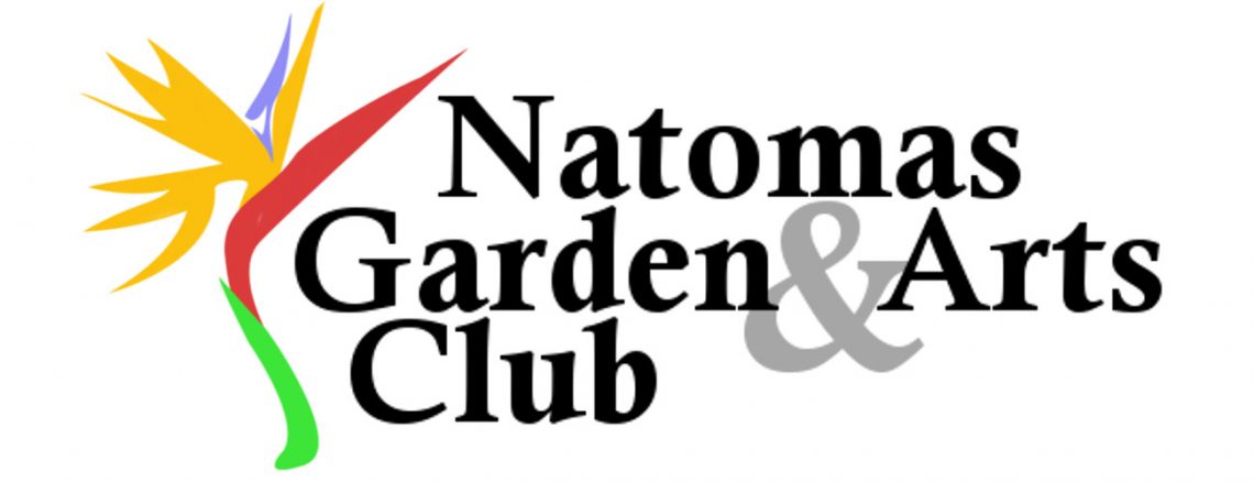 Natomas Garden & Arts Club