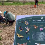 learn about the local flora & fauna