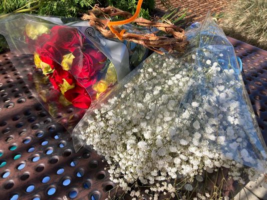 Freshly Cut Flowers